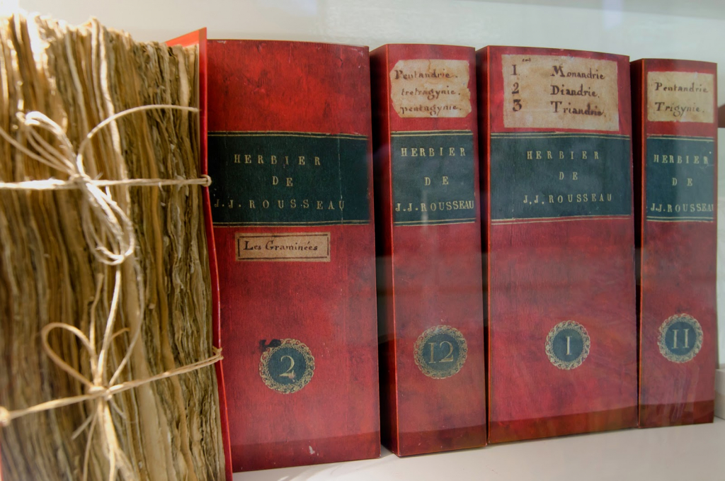 Galería de Botánica