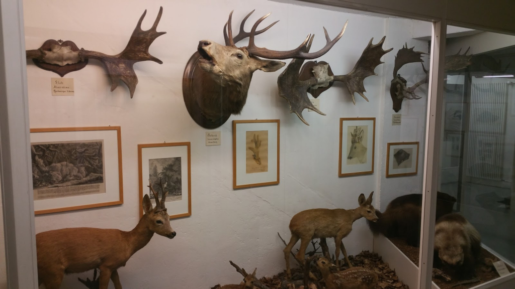 Museo Stemmler