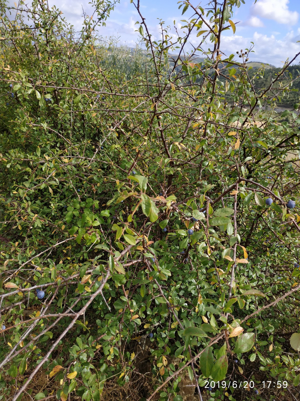Fuerte de la Ordasqueira II
