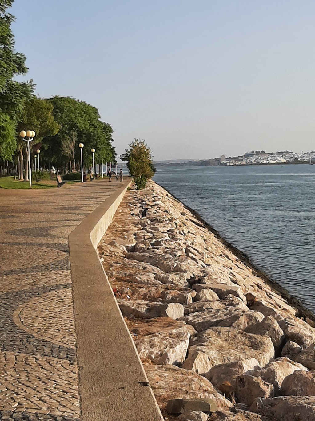 Rotonda de los Atunes