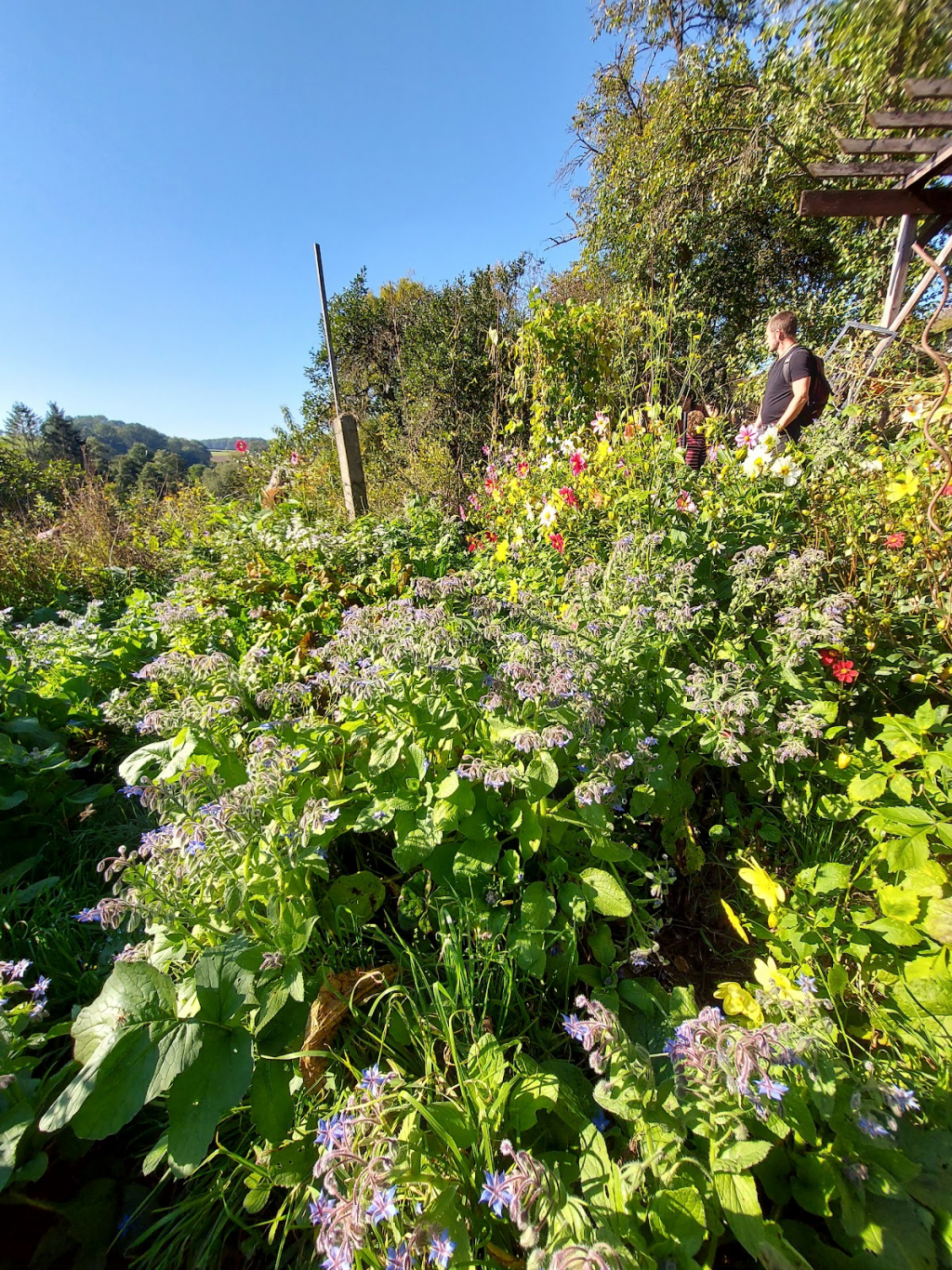Museo de las Abejas Vivas Knüllwald