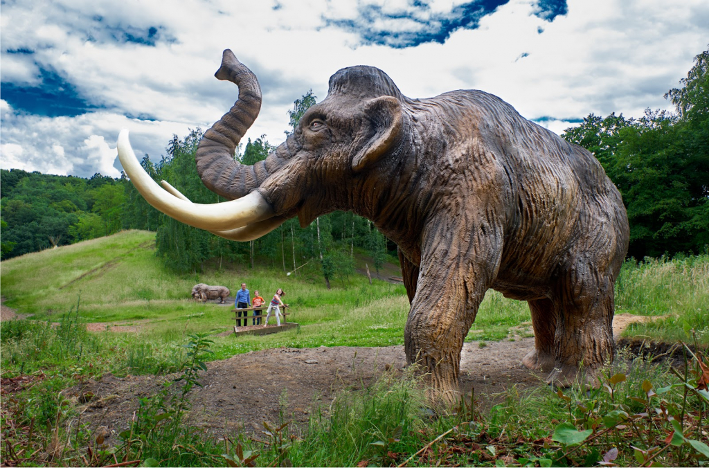 Museo de Prehistoria