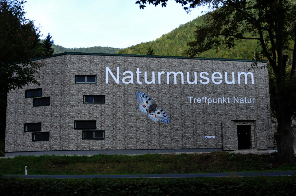 Museo de la Naturaleza Salzkammergut | Mundos Naturales