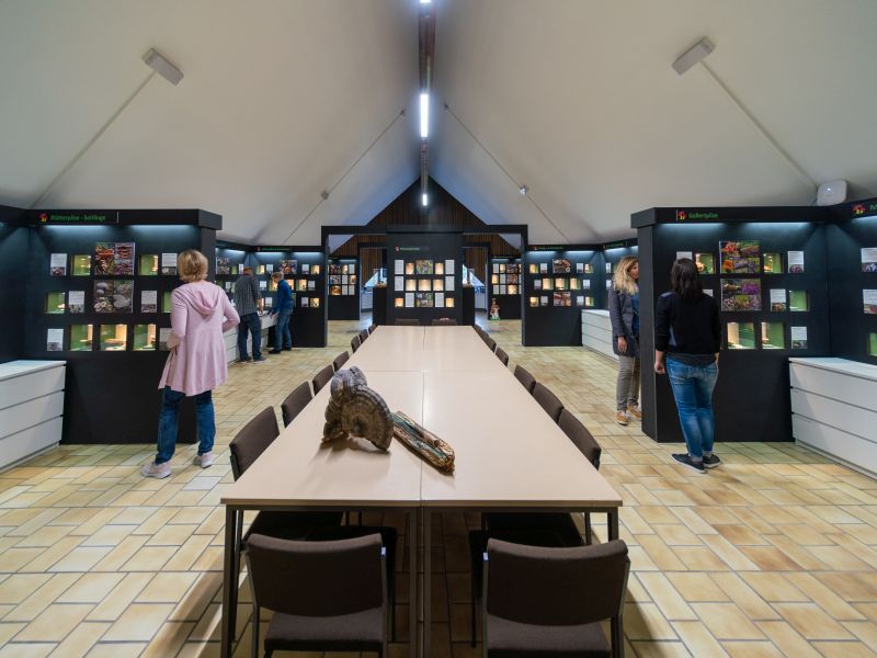 Museo del champiñón