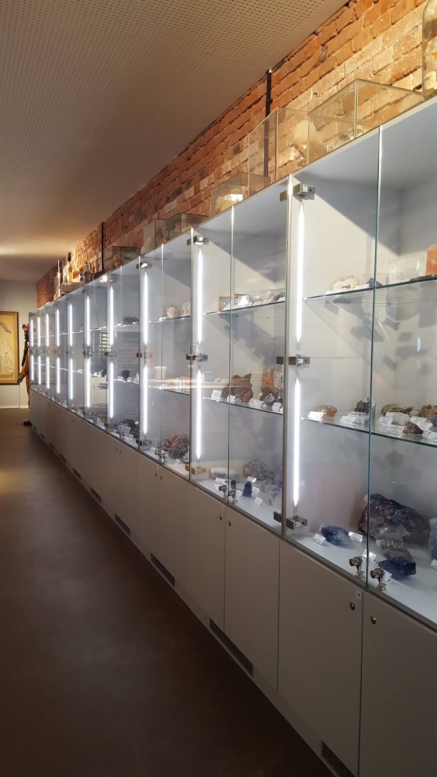 Museo de Minería y Sal en Saline
