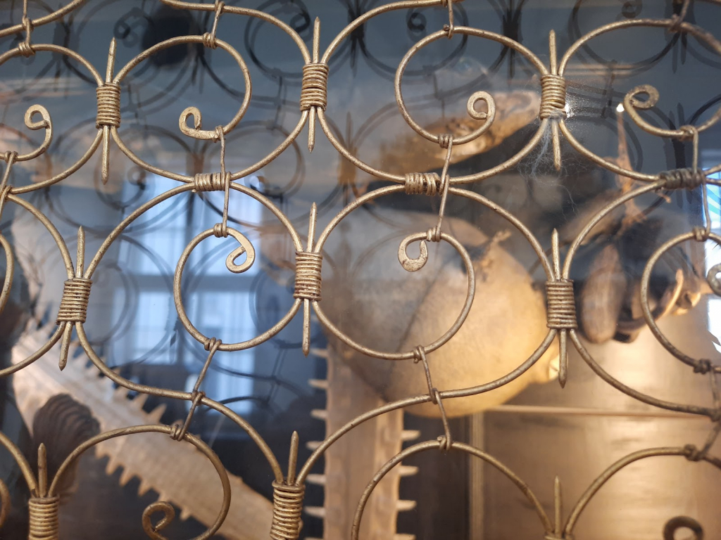 Museo Dom de Salzburgo