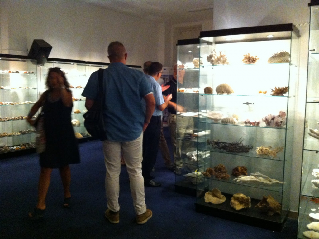 Museo de la Concha y del Coral