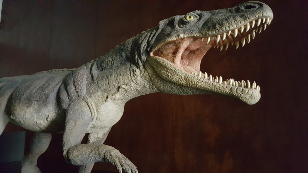 Museo de fósiles de Monte San Giorgio