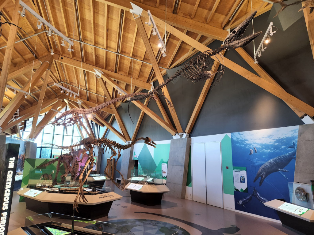 Museo de Dinosaurios Philip J. Currie