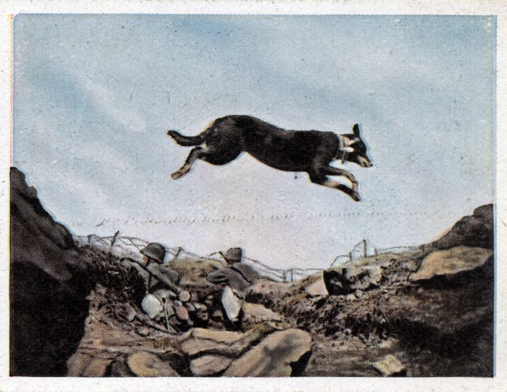 Museo de la Comunicación de Frankfurt