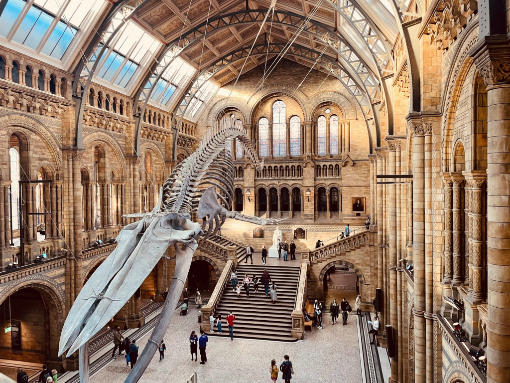 Museo de Historia Natural