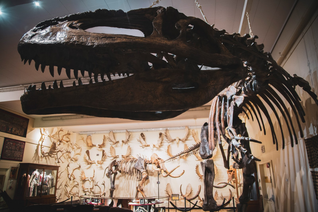 Museo de la Mano del Hombre