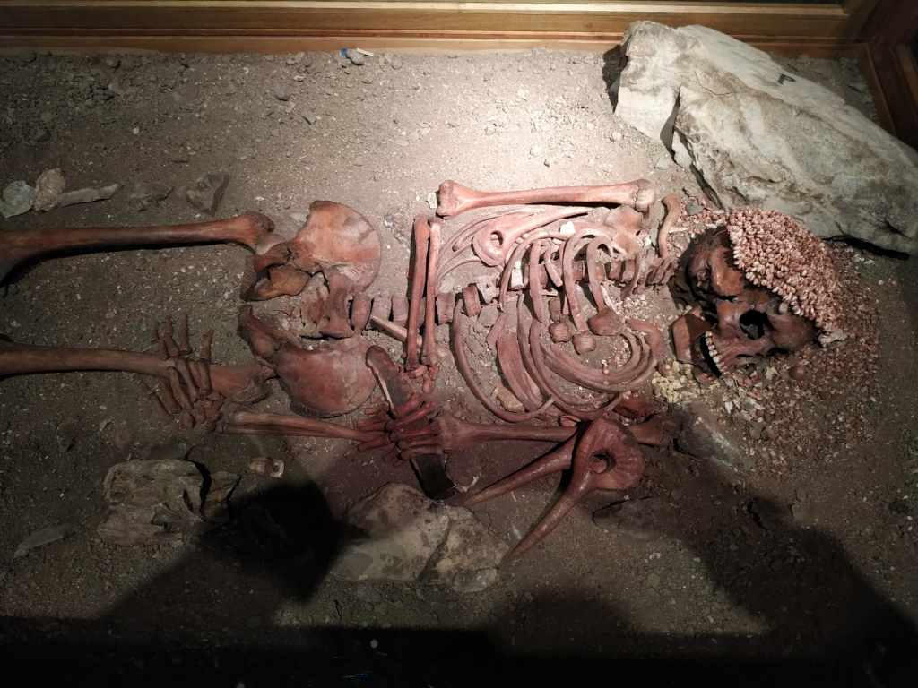 Museo de Arqueología Ligur