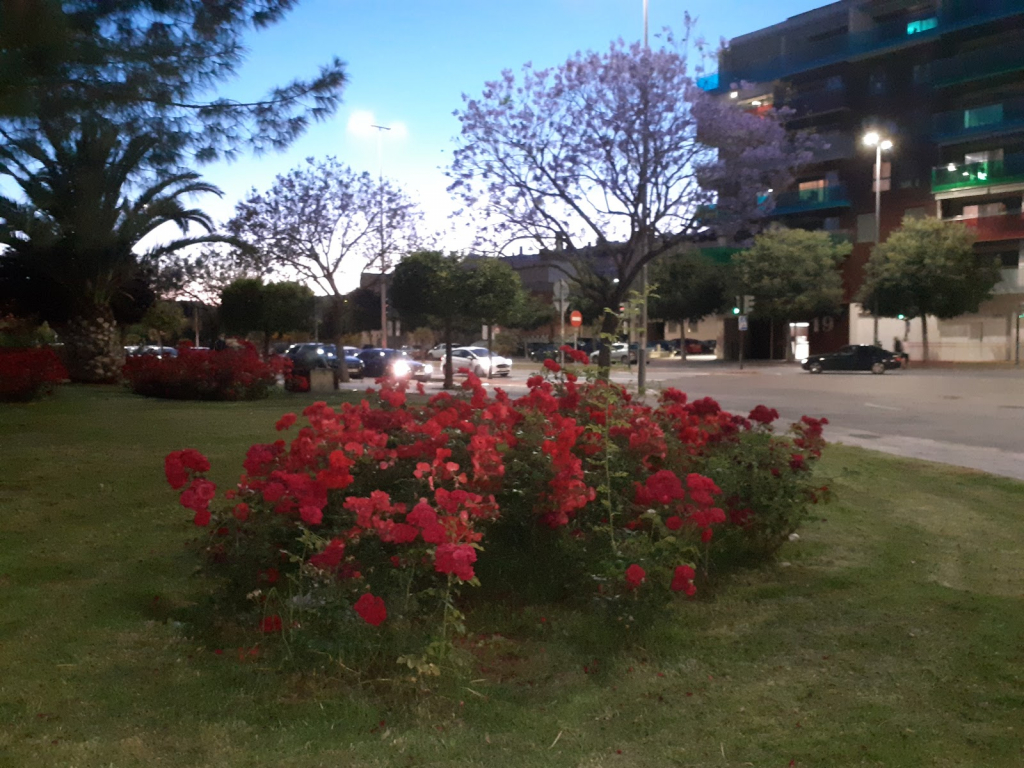 Museo Escultura Al Aire Libre