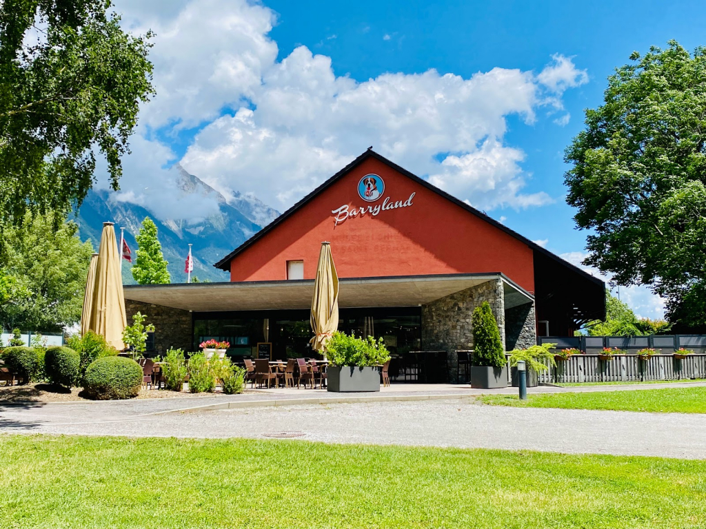 Museo y Perros de San Bernardo