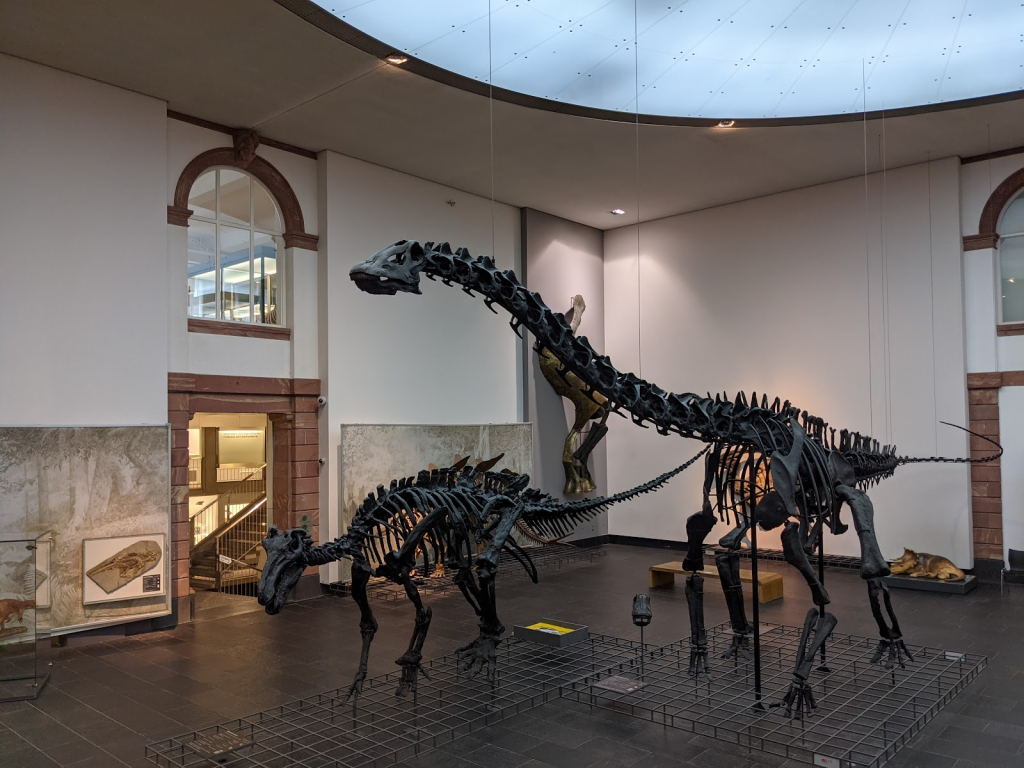 Museo de Historia Natural Senckenberg