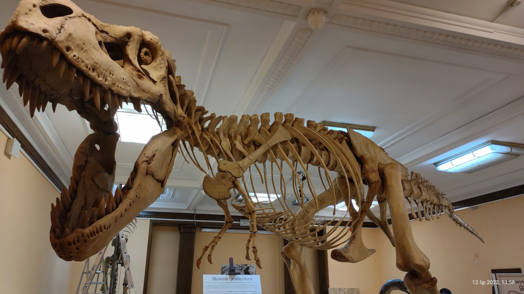 Museo de la Evolución