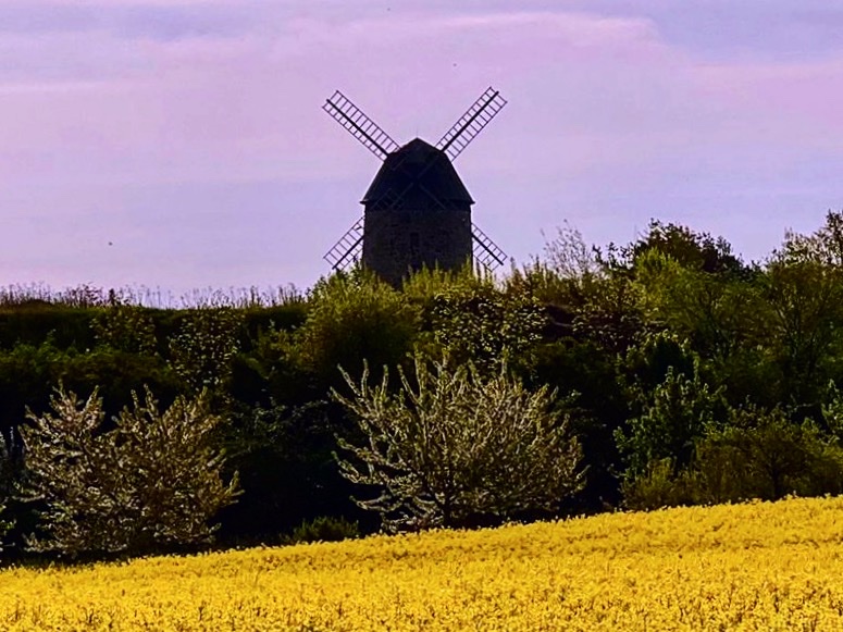 Museo Papelera Weddersleben