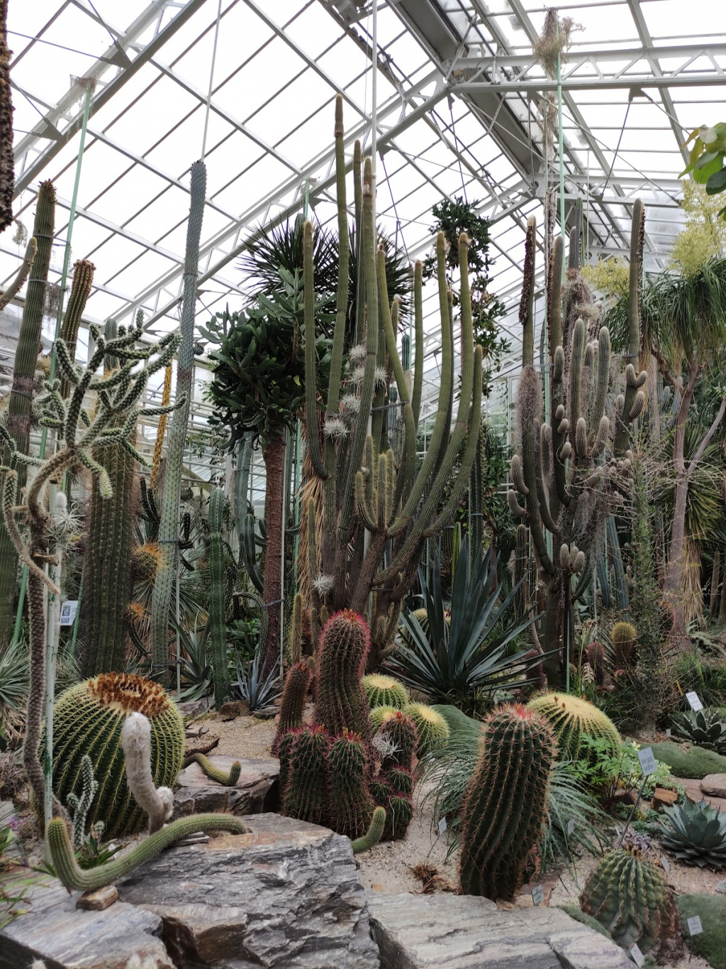 BIOTOPIA - Museo de Historia Natural de Baviera