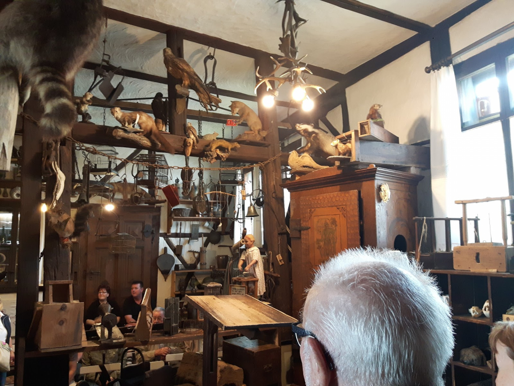 Museo de Trampas para Ratones y Curiosidades