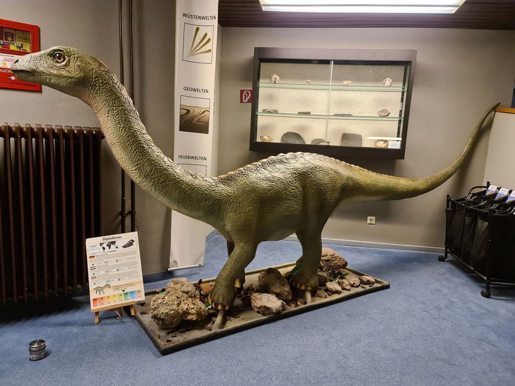 Museo de Historia Natural de Bad Sachsa