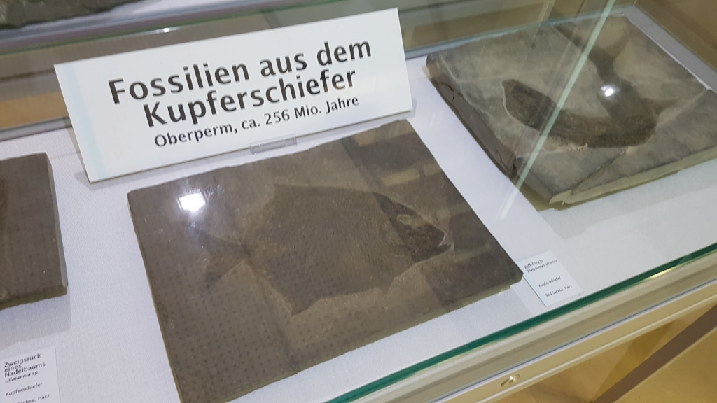 Museo al Aire Libre y de Experiencias de Ostfalen e.V.