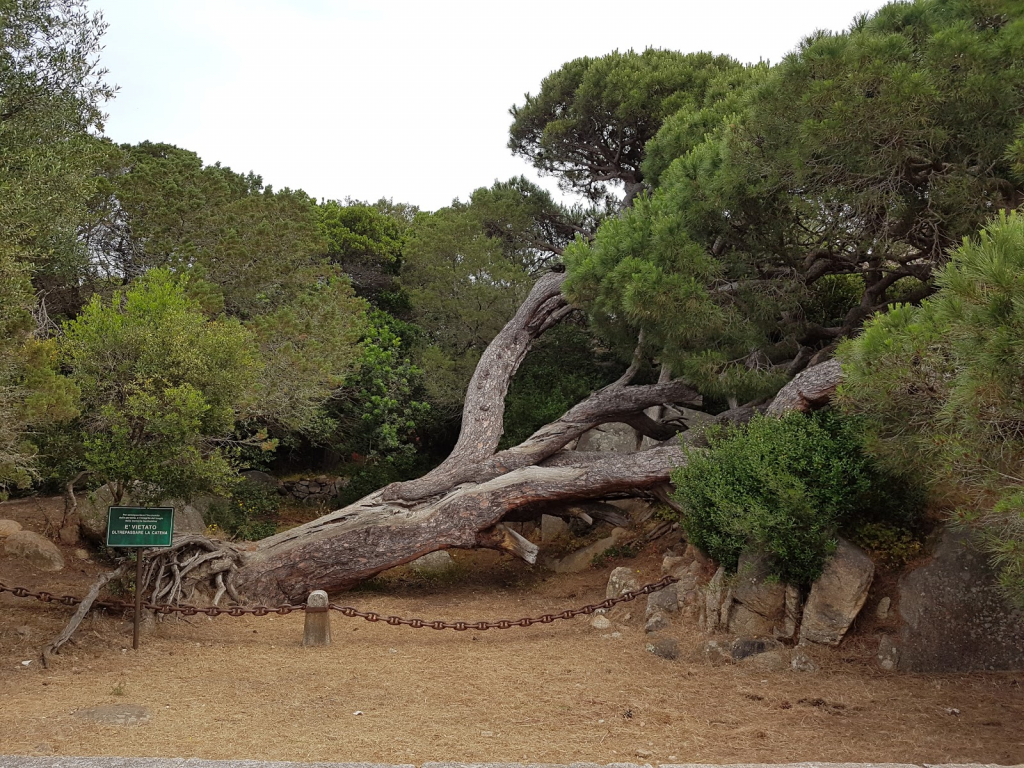 Museo Garibaldi en Caprera