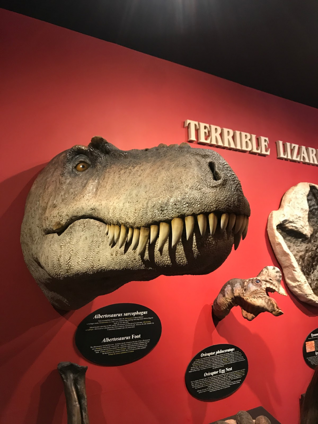 Museo de Ciencia de la Creación del Valle Grande