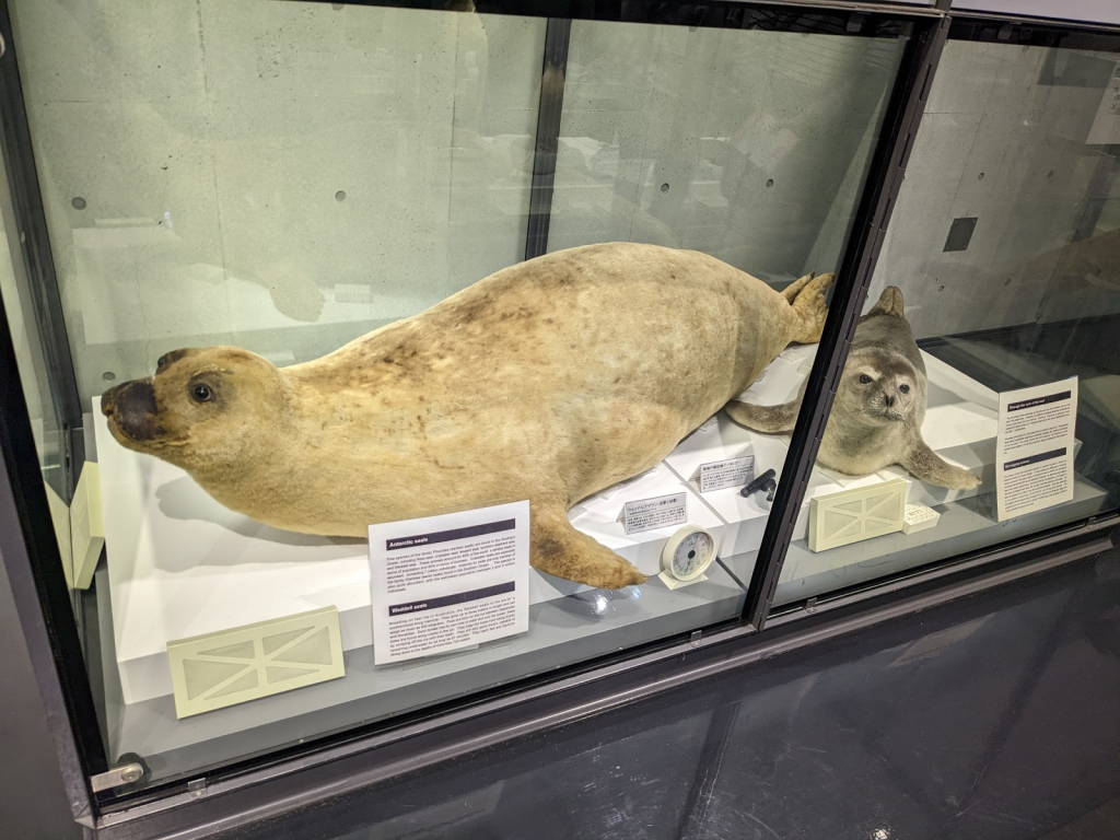 Museo de Ciencia Polar