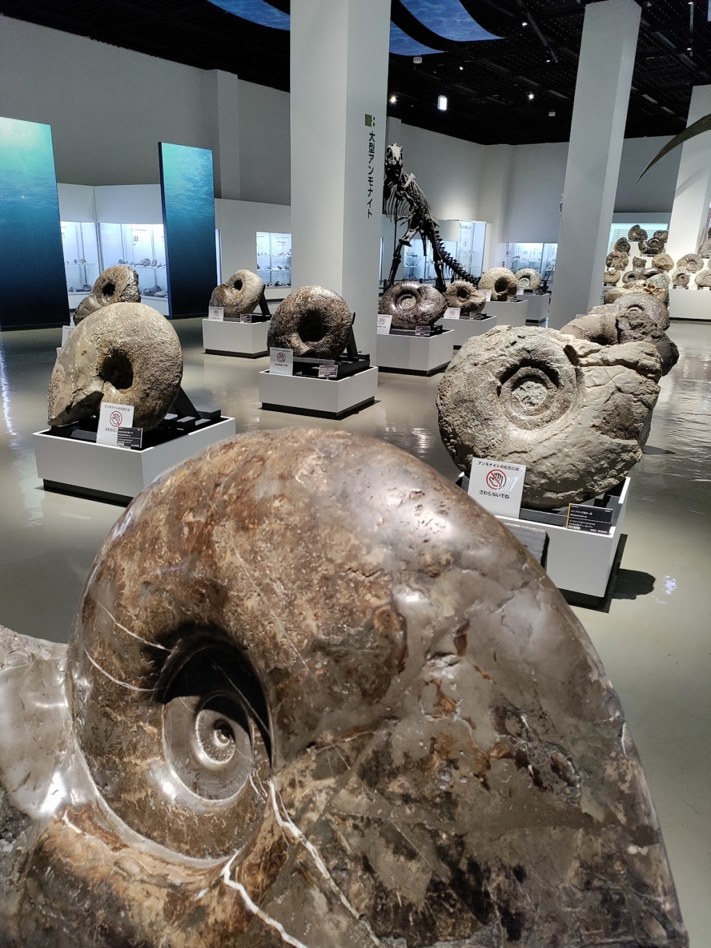Museo de la Ciudad de Mikasa