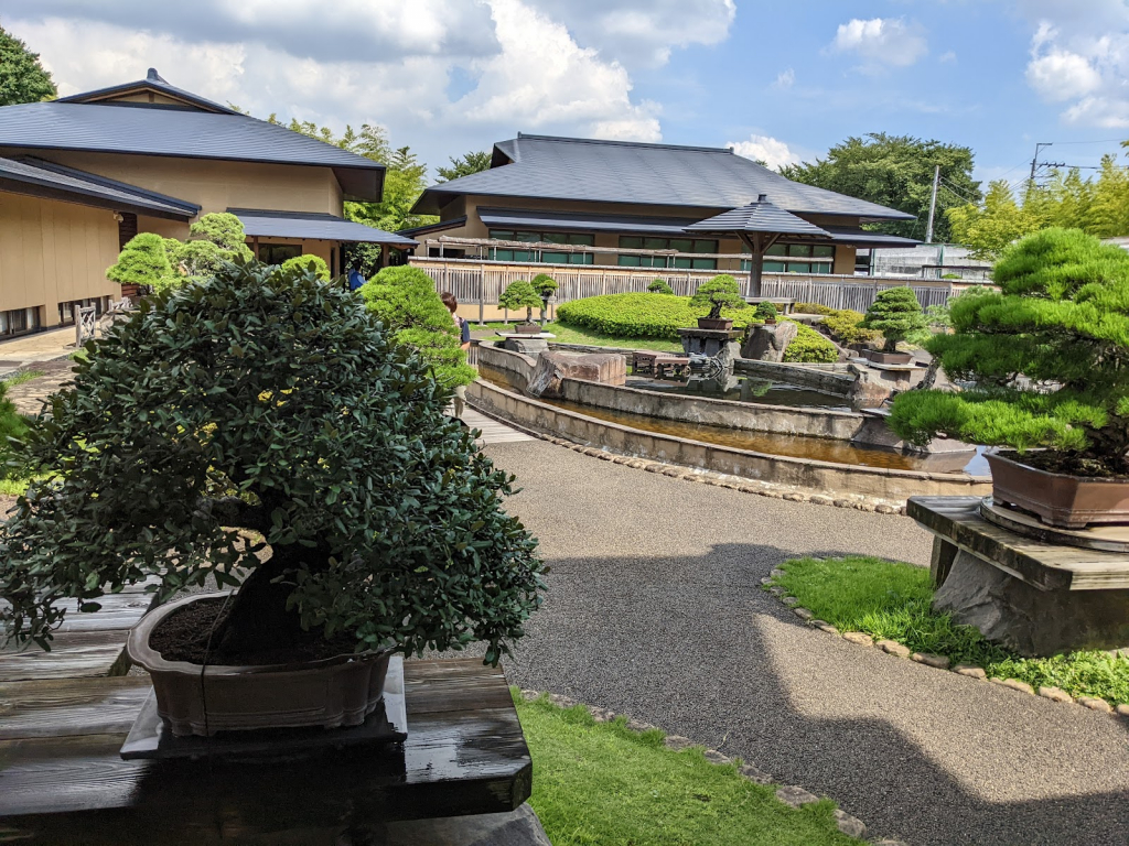 Museo de Arte Bonsái de Omiya, Saitama