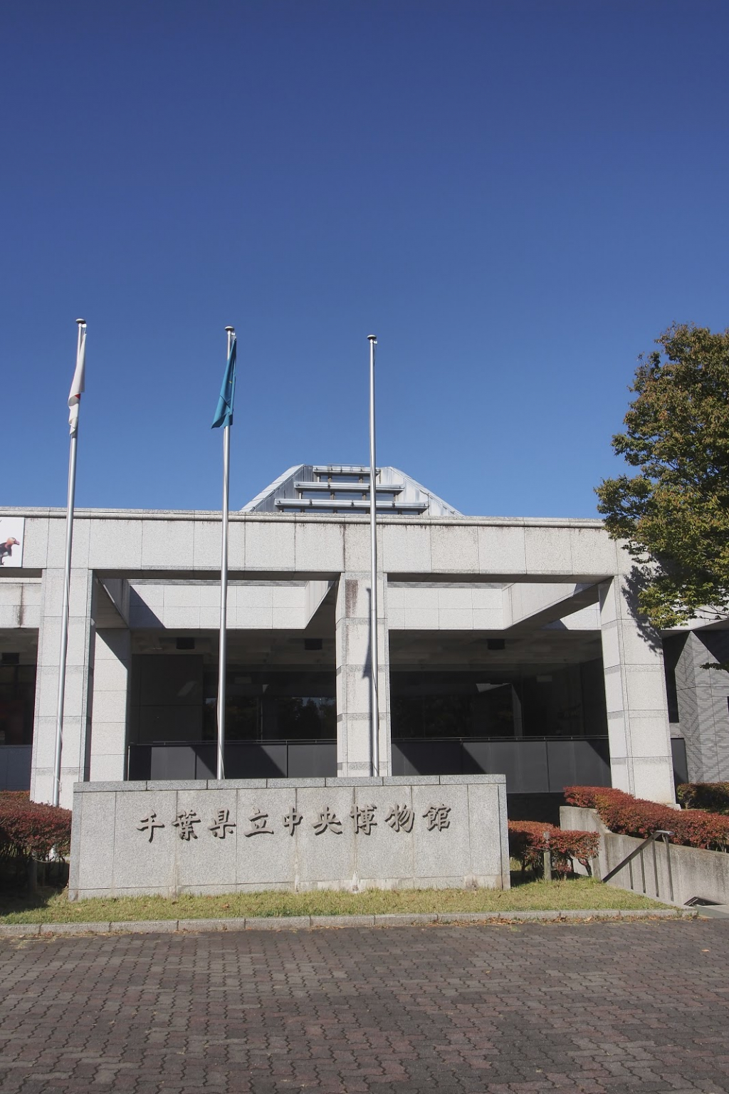 Museo e Instituto de Historia Natural, Chiba