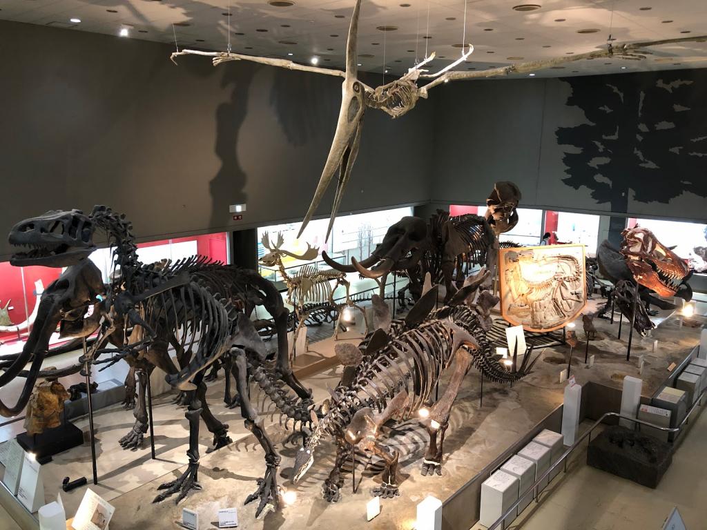Museo de Historia Natural de Osaka