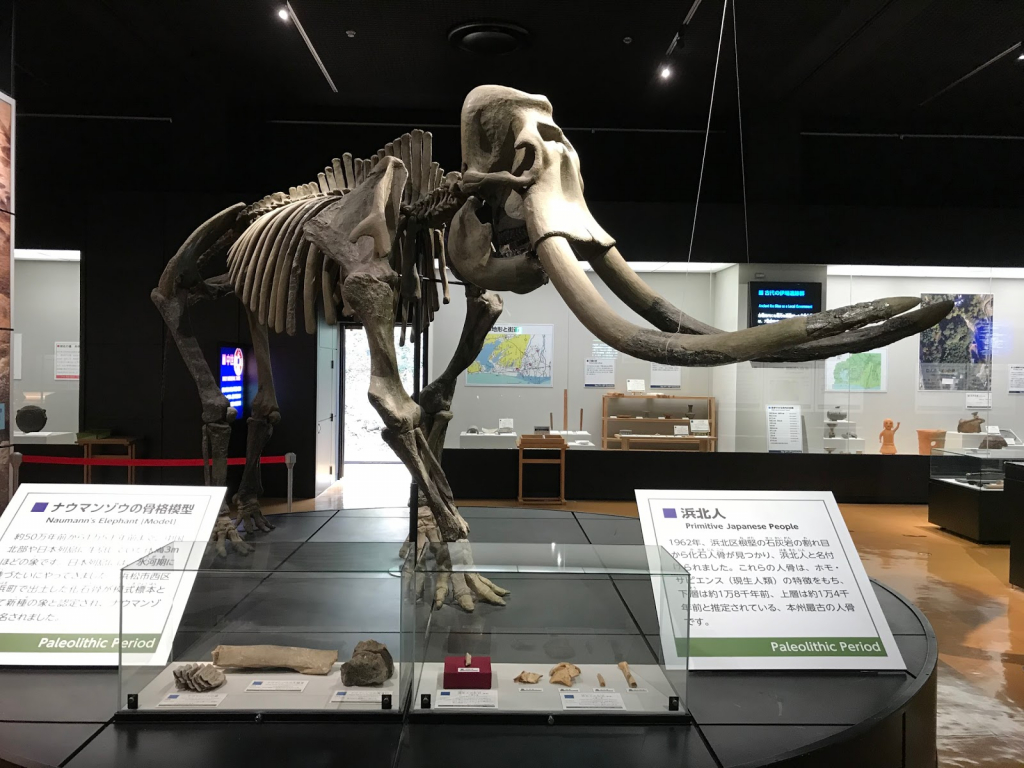 Museo de Historia de la Ciudad de Hamamatsu