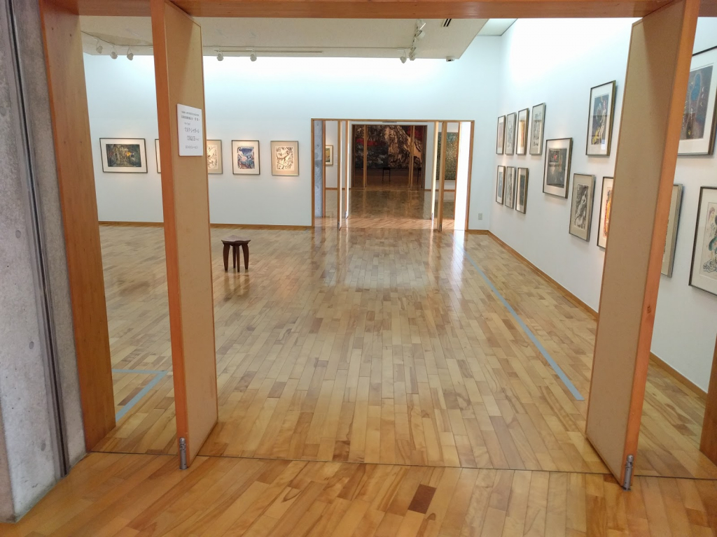 Museo de Arte Sakima