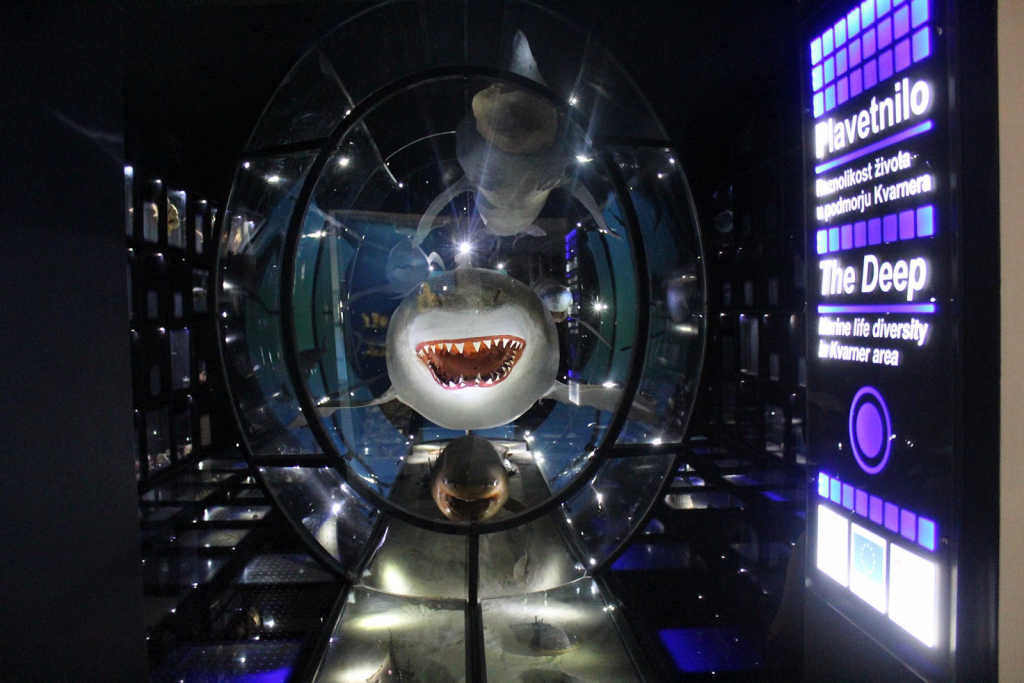 Museo de Historia Natural de Rijeka