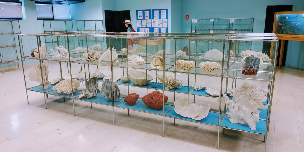 Museo de Historia Natural y Jardín Zoológico - Split