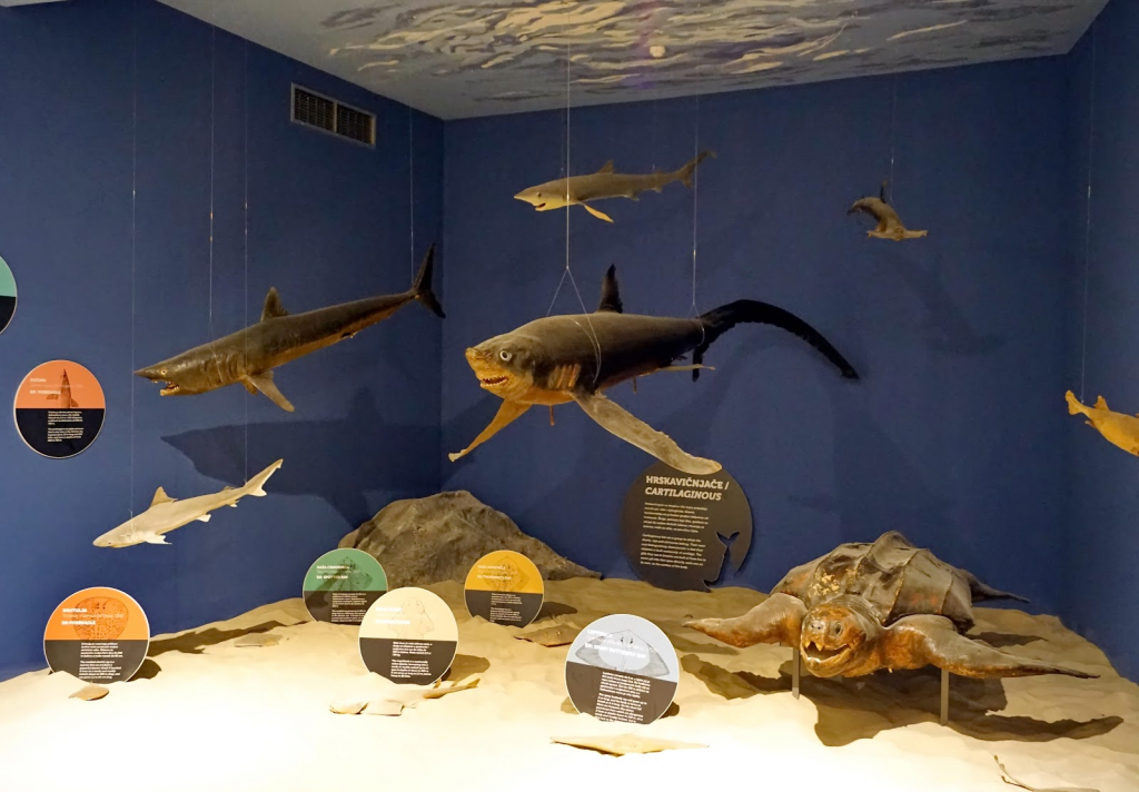 Museo de Historia Natural de Dubrovnik