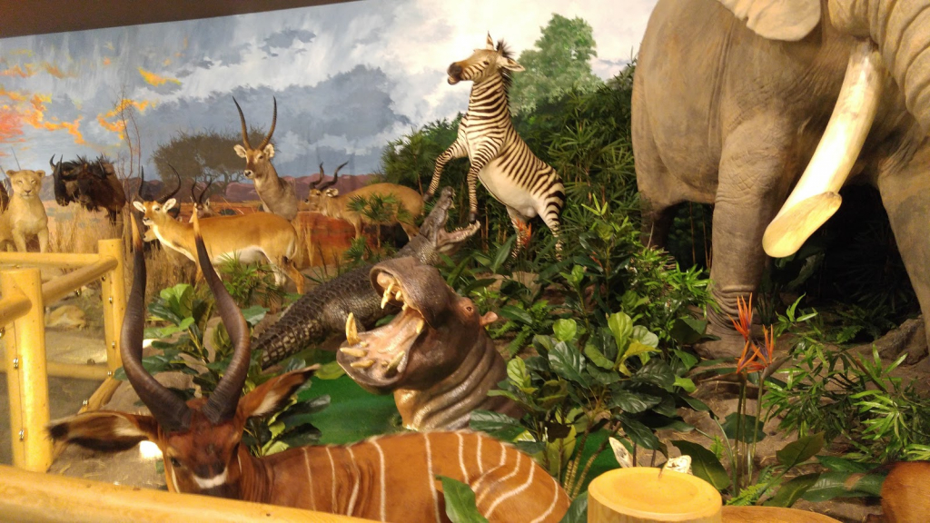 Museo de Sundre y el Distrito