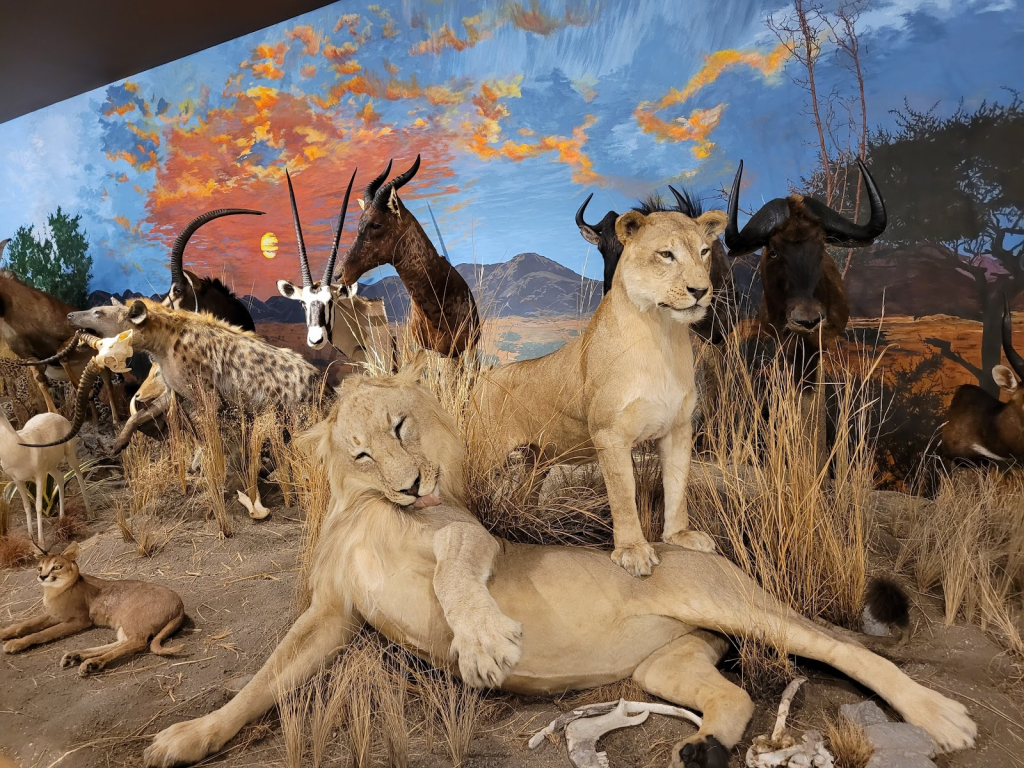 Museo de Sundre y Exposición de Vida Silvestre