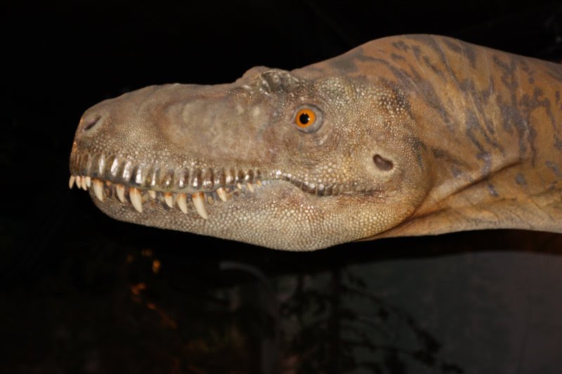 Estación de Campo del Museo Real Tyrrell