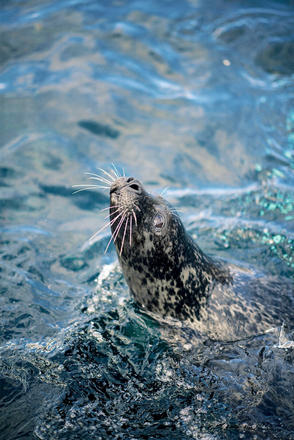 Museo de Pesca y Navegación