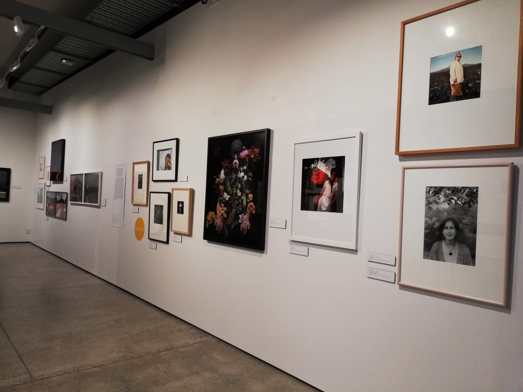 Museo de Arte Pataka