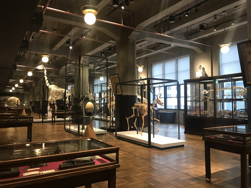 Intermediatheque