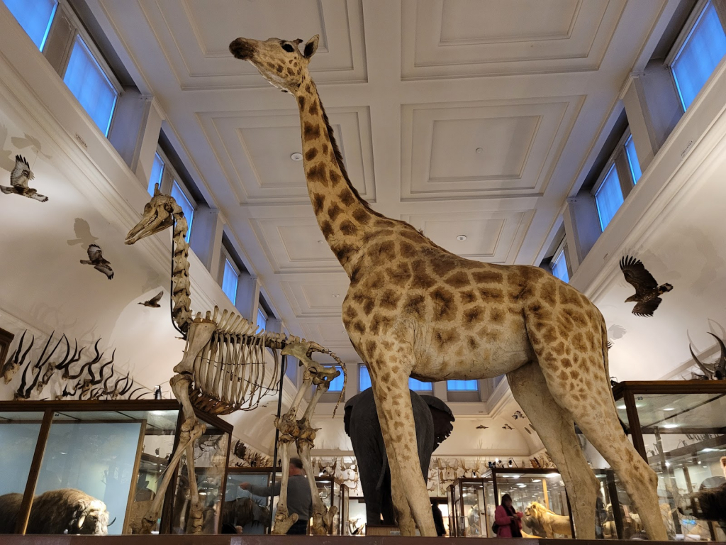 Museo de Historia Natural de Gotemburgo