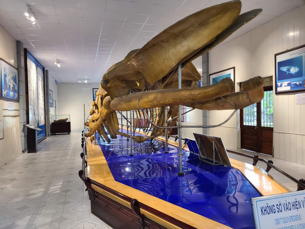Museo de Oceanografía