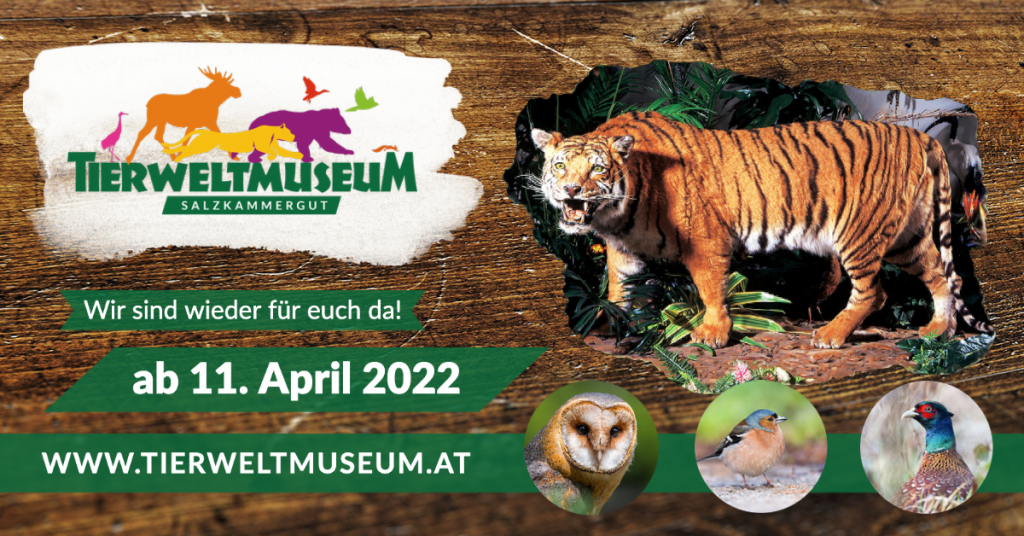 Museo de la Fauna de Salzkammergut