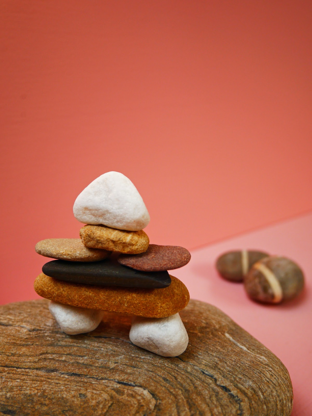 Museo de Historia Natural de Winterthur