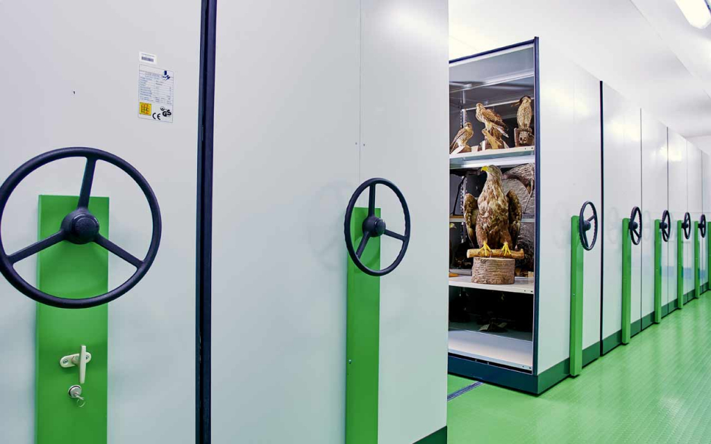 Sammelsurium - Museo de Westlausitz