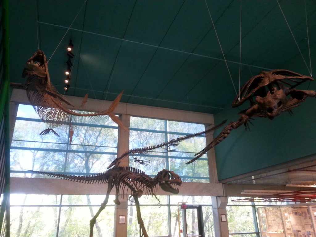 Museo de Mineralogía Robert B. Ferguson